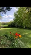 Maison a vendre Walincourt-Selvigny 59127 Nord 59 282 m2 11 pièces 305000 euros 59084-2023 007