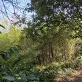 Maison a vendre Candé 49440 Maine-et-Loire 49 259 m2 9 pièces 280800 euros 49095-1665 014