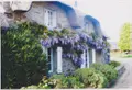 Maison a vendre Brech 56400 Morbihan 56 150 m2 536975 euros 56001-1289 017