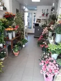 Fonds et murs commerciaux a vendre Lessay 50430 Manche 50 1 m2 2 pièces 26800 euros 50061-348261 002