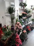 Fonds et murs commerciaux a vendre Lessay 50430 Manche 50 1 m2 2 pièces 26800 euros 50061-348261 003