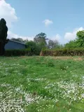 Terrain a batir a vendre Bajus 62150 Pas-de-Calais 62 43000 euros 62113-1229 001