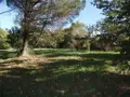 Terrain a batir a vendre Saint-Urbain 85230 Vendée 85 53975 euros 092/T/2082-85092 001