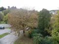 Location appartement Redon 35600 Ille-et-Vilaine 35 66 m2 3 pièces 700 euros 35066-879-35066 009