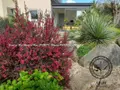 Maison a vendre Louannec 22700 Côtes-d'Armor 22 150 m2 5 pièces 630496 euros VM378-22093 015