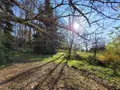 Maison a vendre La Chapelle-Montligeon 61400 Orne 61 162 m2 6 pièces 315000 euros VM875-61063 017