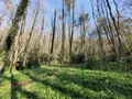 Maison a vendre La Chapelle-Montligeon 61400 Orne 61 162 m2 6 pièces 315000 euros VM875-61063 018