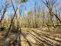 Maison a vendre La Chapelle-Montligeon 61400 Orne 61 162 m2 6 pièces 315000 euros VM875-61063 019