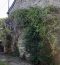 Maison a vendre Bouère 53290 Mayenne 53 202 m2 9 pièces 419725 euros 100213601-53088 006