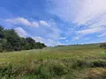 Maison a vendre Perche en Nocé 61340 Orne 61 263 m2 12 pièces 299000 euros VM846-61063 014