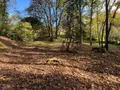 Terrain a batir a vendre Béruges 86190 Vienne 86 80000 euros VT109-86001 001