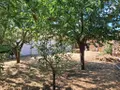 Maison a vendre Bouin 85230 Vendée 85 75 m2 4 pièces 183250 euros 999/M/2318-85092 002