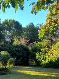 Maison a vendre Bouère 53290 Mayenne 53 202 m2 9 pièces 419725 euros 100213601-53088 002