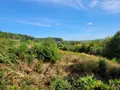 Maison a vendre Longny les Villages 61290 Orne 61 77 m2 3 pièces 132500 euros VM915-61063 002