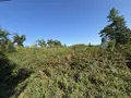Terrain a batir a vendre Champagnac 15350 Cantal 15 10720 euros 125T-15029 003