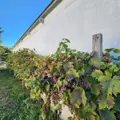 Maison a vendre Avezé 72400 Sarthe 72 72 m2 4 pièces 95400 euros 72085-2278 003