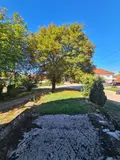Maison a vendre Montrond-le-Château 25660 Doubs 25 196 m2 9 pièces 206750 euros VM2492-25014 005