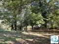 Maison a vendre Le Pin-la-Garenne 61400 Orne 61 120 m2 5 pièces 56180 euros MAP0606-61091 007