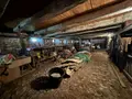 Maison a vendre Champagnac 15350 Cantal 15 185 m2 8 pièces 140000 euros 131T-15029 015