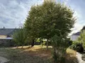 Maison a vendre Montsûrs 53150 Mayenne 53 135 m2 146000 euros 53004-1367 021