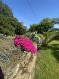 Maison a vendre Melgven 29140 Finistère 29 100 m2 7 pièces 406380 euros 29118-1504 012