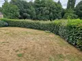 Maison a vendre Plumelec 56420 Morbihan 56 85 m2 4 pièces 182350 euros 56050-668 002