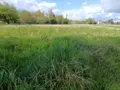 Terrain a batir a vendre Corné 49630 Maine-et-Loire 49 136150 euros 49039-1106 002