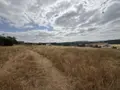 Terrain a batir a vendre Saint-Euphraise-et-Clairizet 51390 Marne 51 95000 euros 51066-1868 020