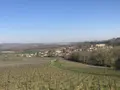 Terrain a batir a vendre Courcelles-Sapicourt 51140 Marne 51 97000 euros 51066-1435 006