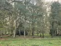 Maison a vendre Gennes-Longuefuye 53200 Mayenne 53 235 m2 9 pièces 518000 euros 53073-1723 022