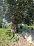 Maison a vendre Plumaudan 22350 Côtes-d'Armor 22 92 m2 4 pièces 211190 euros 22044-3864 023