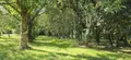 Immeuble de rapport a vendre Tréméoc 29120 Finistère 29 150 m2 367500 euros 29152-119 026