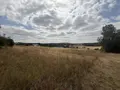 Terrain a batir a vendre Saint-Euphraise-et-Clairizet 51390 Marne 51 95000 euros 51066-1868 021