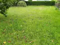 Terrain a batir a vendre Champigné 49330 Maine-et-Loire 49 31800 euros 49096-1339 002