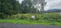 Terrain a batir a vendre Raon-l'Étape 88110 Vosges 88 63000 euros 88061-717 001