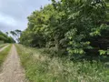 Terrains de loisirs bois etangs a vendre Saint-Servant 56120 Morbihan 56 11000 euros 56049-834 001