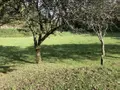 Terrains de loisirs bois etangs a vendre Melrand 56310 Morbihan 56 32400 euros 56064-1447 003