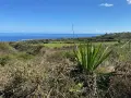 Terrain a batir a vendre Saint-Paul 97460 La Réunion 974 315000 euros 97409-348 006