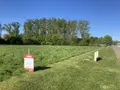 Terrain a batir a vendre Ervillers 62121 Pas-de-Calais 62 60100 euros D038-886 001