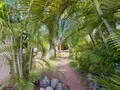 Maison a vendre Saint-Paul 97460 La Réunion 974 83 m2 4 pièces 595650 euros 97409-360 012