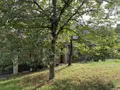 Maison a vendre Saint-Affrique 12400 Aveyron 12 150 m2 5 pièces 290000 euros 12051-5 007