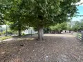 Maison a vendre Courmas 51390 Marne 51 268 m2 9 pièces 230600 euros 51066-1986 014