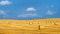 Bien agricole a vendre Charenton-du-Cher 18210 Cher 18 7100000 euros 021/1402 002