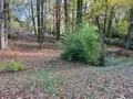 Terrain a batir a vendre Béruges 86190 Vienne 86 80000 euros 86001-74 002
