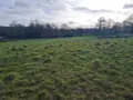 Terrain a batir a vendre Pleugriffet 56120 Morbihan 56 27400 euros 56053-2511 003