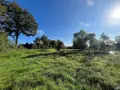 Terrains de loisirs bois etangs a vendre Saint-Christophe-du-Luat 53150 Mayenne 53 84320 euros 53078-1877 006