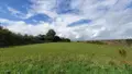 Terrain a batir a vendre Collorec 29530 Finistère 29 22500 euros 29066-972617 002