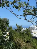 Terrain a batir a vendre Saint-Pierre 97250 Martinique 972 189900 euros 97410-739 002