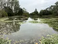 Terrains de loisirs bois etangs a vendre Brée 53150 Mayenne 53 69000 euros 53004-1342 004