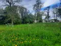 Terrain a batir a vendre Commequiers 85220 Vendée 85 173160 euros 85091-5185 002